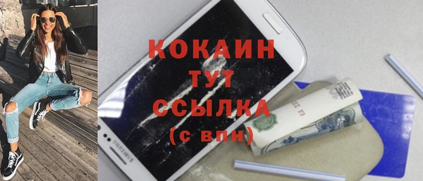 мдпв Богданович