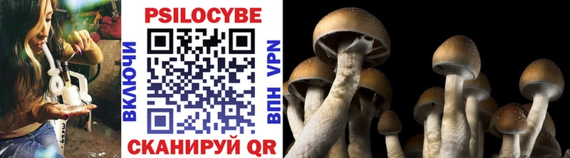 цены   Бугульма  omg вход  Псилоцибиновые грибы мухоморы 