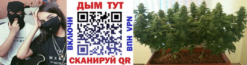 Марихуана Bruce Banner  площадка формула  Бугульма 